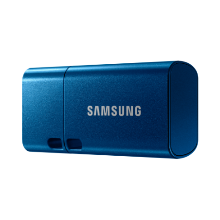 10946-SAMSUNG USB-C (MUF-256DA/APC) 256GB/5 ANOS LIMITADA