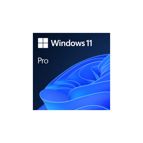 10969-Microsoft Windows 11 Pro 1 licencia(s)