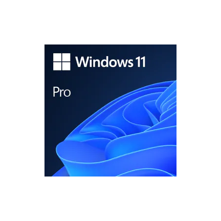 10969-Microsoft Windows 11 Pro 1 licencia(s)