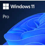 10969-Microsoft Windows 11 Pro 1 licencia(s)