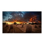 10970-Samsung LH46VMBUBGBXEN pantalla mural de video LCD Interior