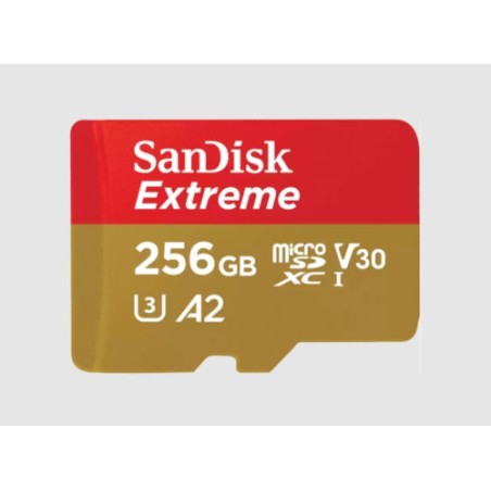11287-SanDisk Extreme 256 GB MicroSDXC UHS-I Clase 3