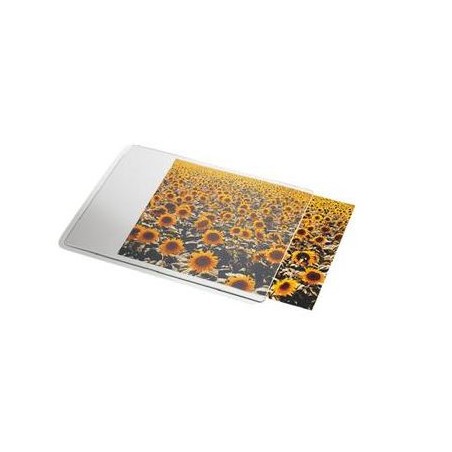 11855-ALFOMBRILLA PERSONALIZABLE DATALINE PARA RATON ESSELTE 67691