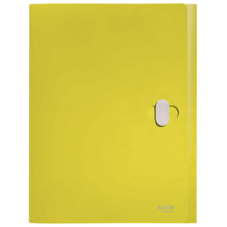 CARPETA POLIPROPILENO DE PROYECTOS 38MM Y CIERRE BROCHE GIRATORIO A4 RECYCLE AMARILLO LEITZ 46230015