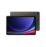 13789-SAMSUNG GALAXY TAB S9 WIFI 12/256 GRAY