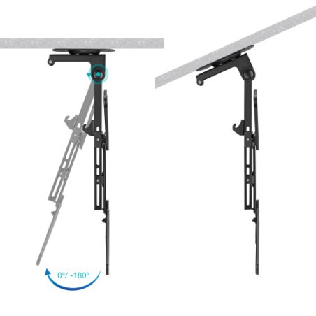 13983-TooQ Soporte de Techo para Pantallas 23"-55", Negro