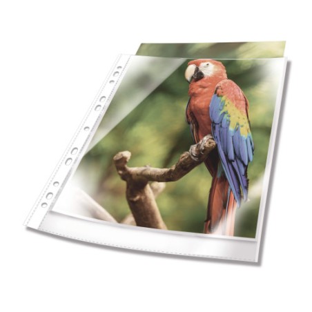 14665-Durable 265502 protector de hojas A4 Polipropileno (PP) 25 pieza(s)