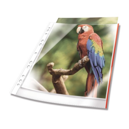 14666-Durable 265503 protector de hojas A4 Polipropileno (PP) 25 pieza(s)