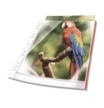 14666-Durable 265503 protector de hojas A4 Polipropileno (PP) 25 pieza(s)