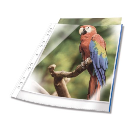 14667-Durable 265506 protector de hojas A4 Polipropileno (PP) 25 pieza(s)