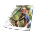 14667-Durable 265506 protector de hojas A4 Polipropileno (PP) 25 pieza(s)