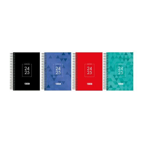 AGENDA ESCOLAR 2024-2025 IDENTITY TAPA EXTRADURA 8o DIA PAGINA COLORES SURTIDOS ENRI 400185080