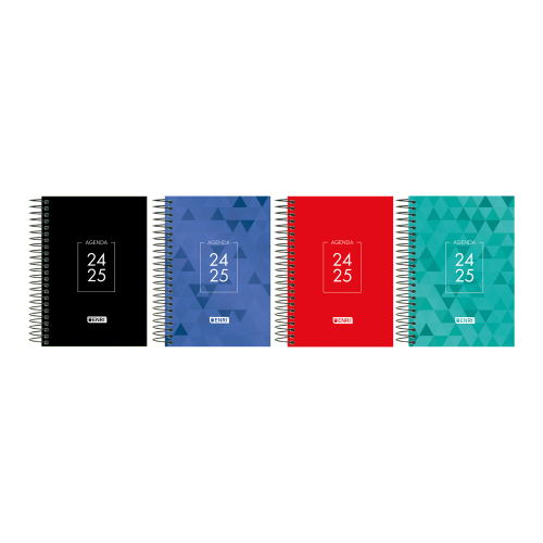 AGENDA ESCOLAR 2024-2025 IDENTITY TAPA EXTRADURA 4o DIA PAGINA COLORES SURTIDOS ENRI 400185083