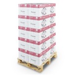 15838-PAQUETE 500H PAPEL SPECIAL PREMIUM 80GR A3 PIONEER CIE 169 PNR0800195
