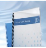 1589-CAJA DE 100 CUBIERTAS POLIPROPILENO FORMATO A4 DE 300 MICRAS TRANSLUCIDO GBC IB386848