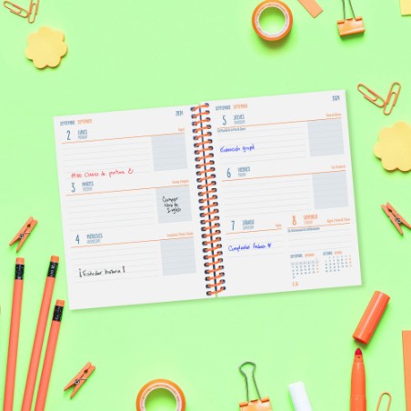 AGENDA ESCOLAR 2024-2025 8o 120X164 SEMANA VISTA HORIZONTAL DIVA FRUITS FINOCAM 536100325