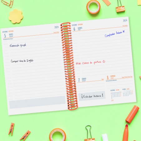 AGENDA ESCOLAR 2024-2025 4o 155X212 1 DIA PAGINA DIVA FRUITS FINOCAM 536160325