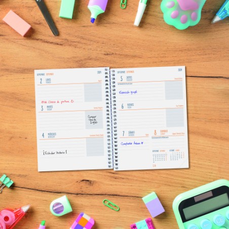 AGENDA ESCOLAR 2024-2025 8o 120X164 SEMANA VISTA HORIZONTAL COOL LILA FINOCAM 645000825