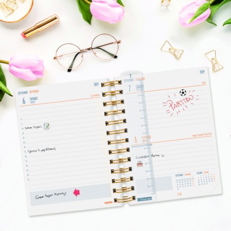 AGENDA ESCOLAR 2024-2025 8o 120X169 1 DIA PAGINA MINI-INSTITUT PANTERA FINOCAM 530204025