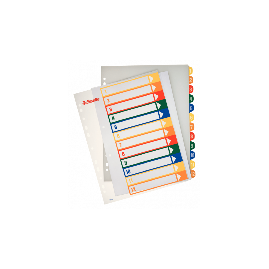1715-INDICES DE PROYECTOS POLIPROPILENO 1-12 POSICIONES IMPRIMIBLES FORMATO A4 MAXI ESSELTE 100214