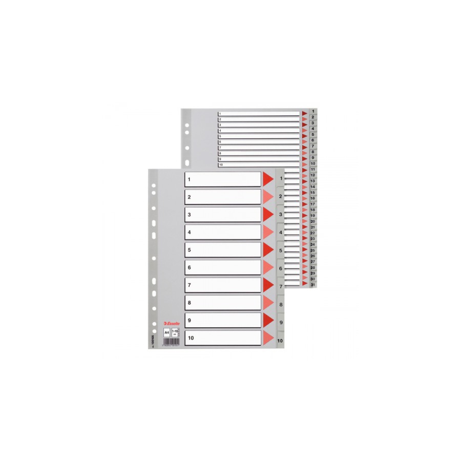 1717-SEPARADOR ALFABETICO POLIPROPILENO MULTITALADRO A-Z FORMATO A4 COLOR GRIS ESSELTE 100112