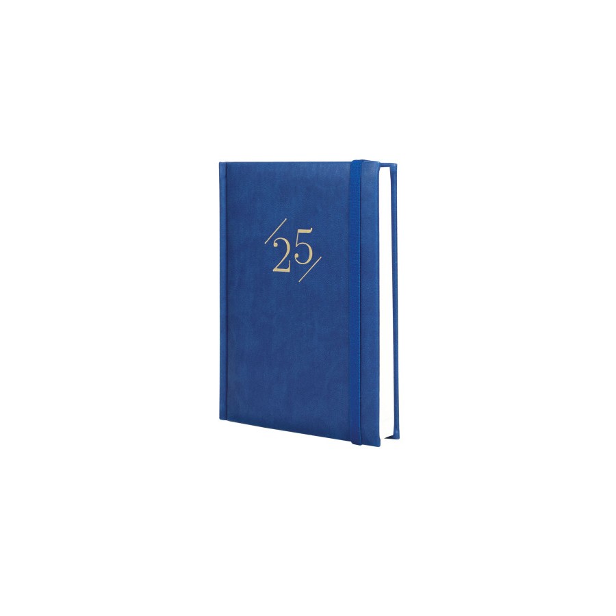 AGENDA 2025 DYNAMIC LONDON Y10 140X204MM DIA PAGINA AZUL FINOCAM 625320125