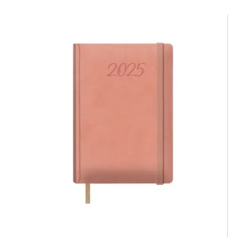 AGENDA 2025 SAMBA DIA PAGINA 15 X 21 CM COLOR ROSA  DOHE 12881 - 25