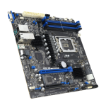 ASUS P13R-M/10G-2T Intel C262 LGA 1700 micro ATX