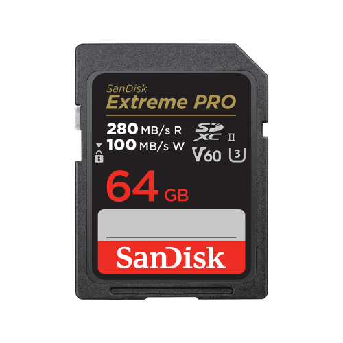 19508-SanDisk SDSDXEP-064G-GN4IN memoria flash 64 GB SDXC UHS-II Clase 10