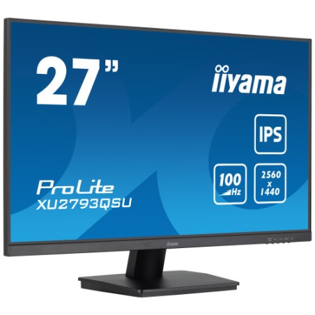 19524-MONITOR IIYAMA IPS 1H 1DP, 2X3.2 100HZ, 300CD