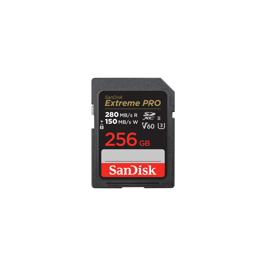 20565-SanDisk SDSDXEP-256G-GN4IN memoria flash 256 GB SDXC UHS-II Clase 10