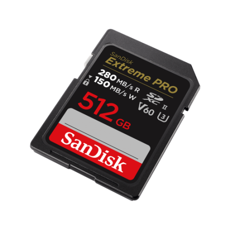 SanDisk SDSDXEP-512G-GN4IN memoria flash 512 GB SDXC UHS-II Clase 10