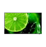 20746-NEC MultiSync E438 Pantalla plana para senalizacion digital 108 cm (42.5") LCD 350 cd / m2 4K Ultra HD Negro 16/7