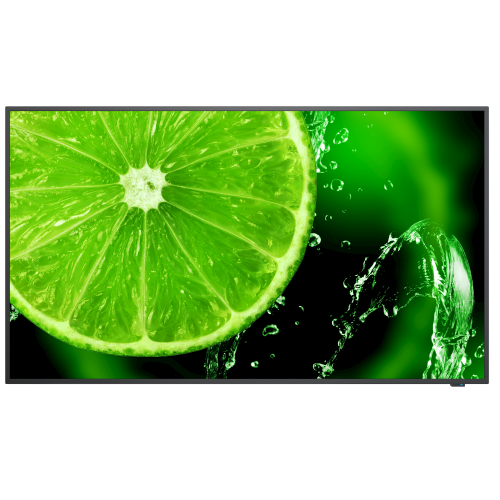 20748-NEC MultiSync E498 124,5 cm (49") IPS 350 cd / m2 4K Ultra HD Negro 16/7