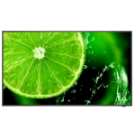 20752-NEC MultiSync E658 165,1 cm (65") IPS 350 cd / m2 4K Ultra HD Negro 16/7