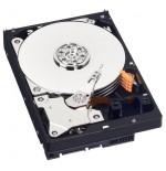 Western Digital Blue 3.5" 1000 GB Serial ATA III