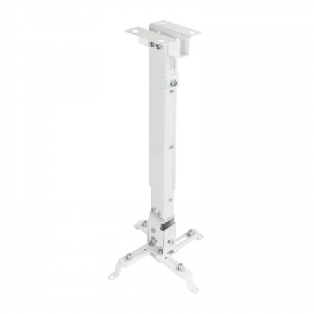 21623-TooQ PJ2012T-W montaje para projector Techo Blanco