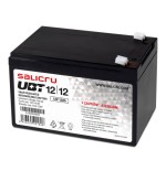 21943-Salicru UBT 12/12