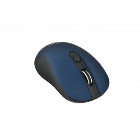 Bluestork M-WL-OFF60 raton Ambidextro RF inalambrico Optico 1600 DPI