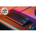 Steelseries APEX 3 TKL teclado USB QWERTY Ingles de EE. UU. Negro