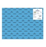 22997-PACK 25 HOJAS CARTULINA IRIS 50X65185G AZUL ULTRAMAR CANSON C200040233