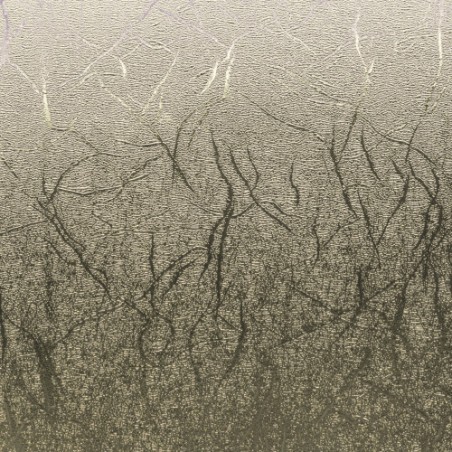 Cricut 2007742 vinilo de transferencia termica Rollo de vinilo de termotransferencia