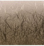 Cricut Textured Metallic Sampler, Precious Metals - Permanent Lamina de vinilo de transferencia termica 3 hojas