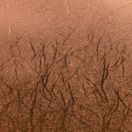 Cricut 2005231 papel metalizado para manualidades