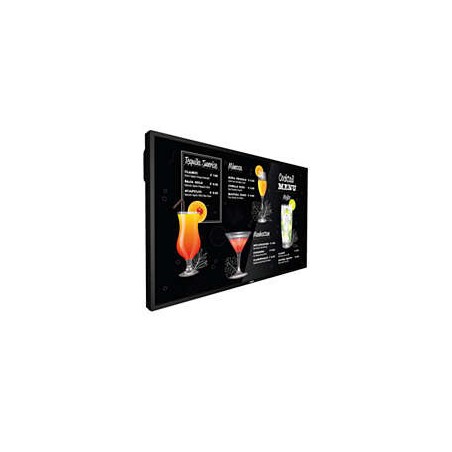 MONITOR PHILIPS 43" P-LINE / PANEL IPS D-LED 16:9 / 3840X2160 750CD/M2 / 8MS / PIXEL PITCH 0.2451 X 0.2451 / VESA 400X400/M6 / S