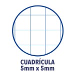 25300-Oxford Europeanbook 1 cuaderno y block A4+ 80 hojas Azul