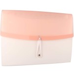 CARPETA ACORDEON DISENO CON 13 COMPARTIMENTOS COLOR DREAM ROSA TARIFOLD 511323