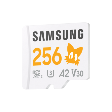 Samsung MB-MD256S 256 GB MicroSDXC UHS-I Clase 10
