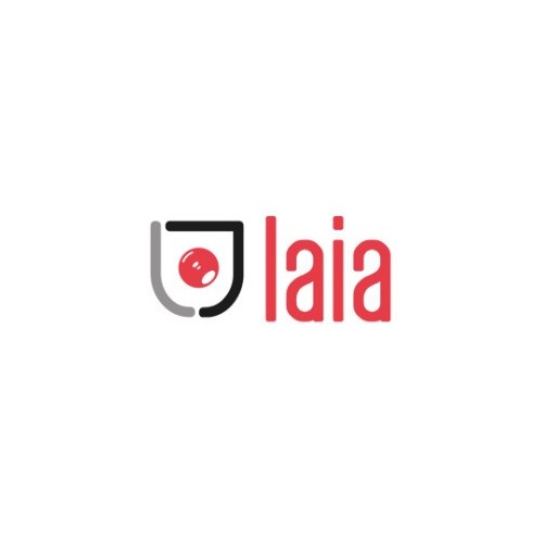 28115-LAIA SOPORTE UNIVERSAL DE PARED DE HIERRO NEGRO GALVANIZADO (SWM)