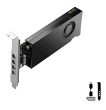 29226-PNY NVIDIA RTX 2000E Ada RTX 2000 Ada 16 GB GDDR6